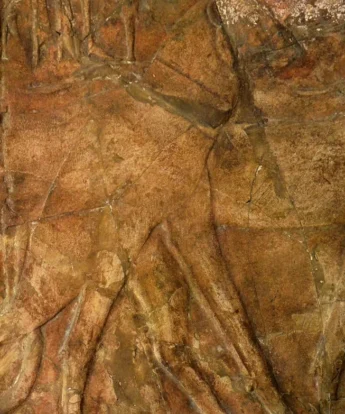 <span class="numbwork">1683</span > <span class="bullwork">•</span > Dos leopardos