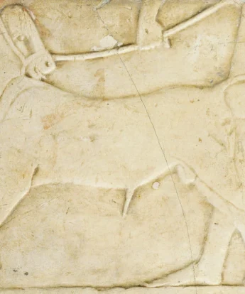 <span class="numbwork">1688</span > <span class="bullwork">•</span > Ternero conducido por un sacerdote como ofrenda al dios Amón