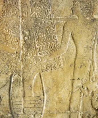 <span class="numbwork">1690</span > <span class="bullwork">•</span > Cuatro hombres transportando un árbol de mirra