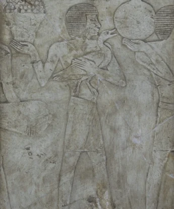 <span class="numbwork">1691</span > <span class="bullwork">•</span > Oferente