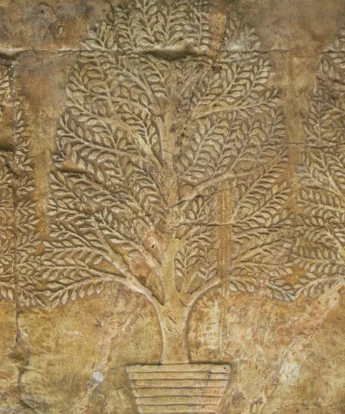 <span class="numbwork">1694</span > <span class="bullwork">•</span > Tres árboles de mirra