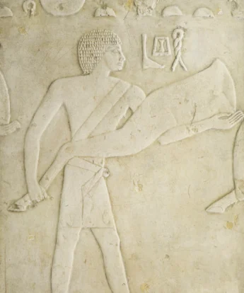 <span class="numbwork">1695</span > <span class="bullwork">•</span > Oferente (2)