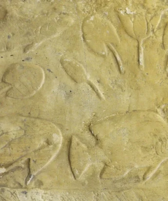 <span class="numbwork">1699</span > <span class="bullwork">•</span > Aves y peces del jardín