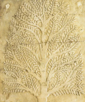 <span class="numbwork">1700</span > <span class="bullwork">•</span > Árbol de mirra