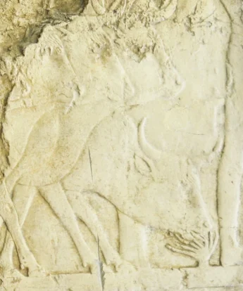 <span class="numbwork">1703</span > <span class="bullwork">•</span > Ganado