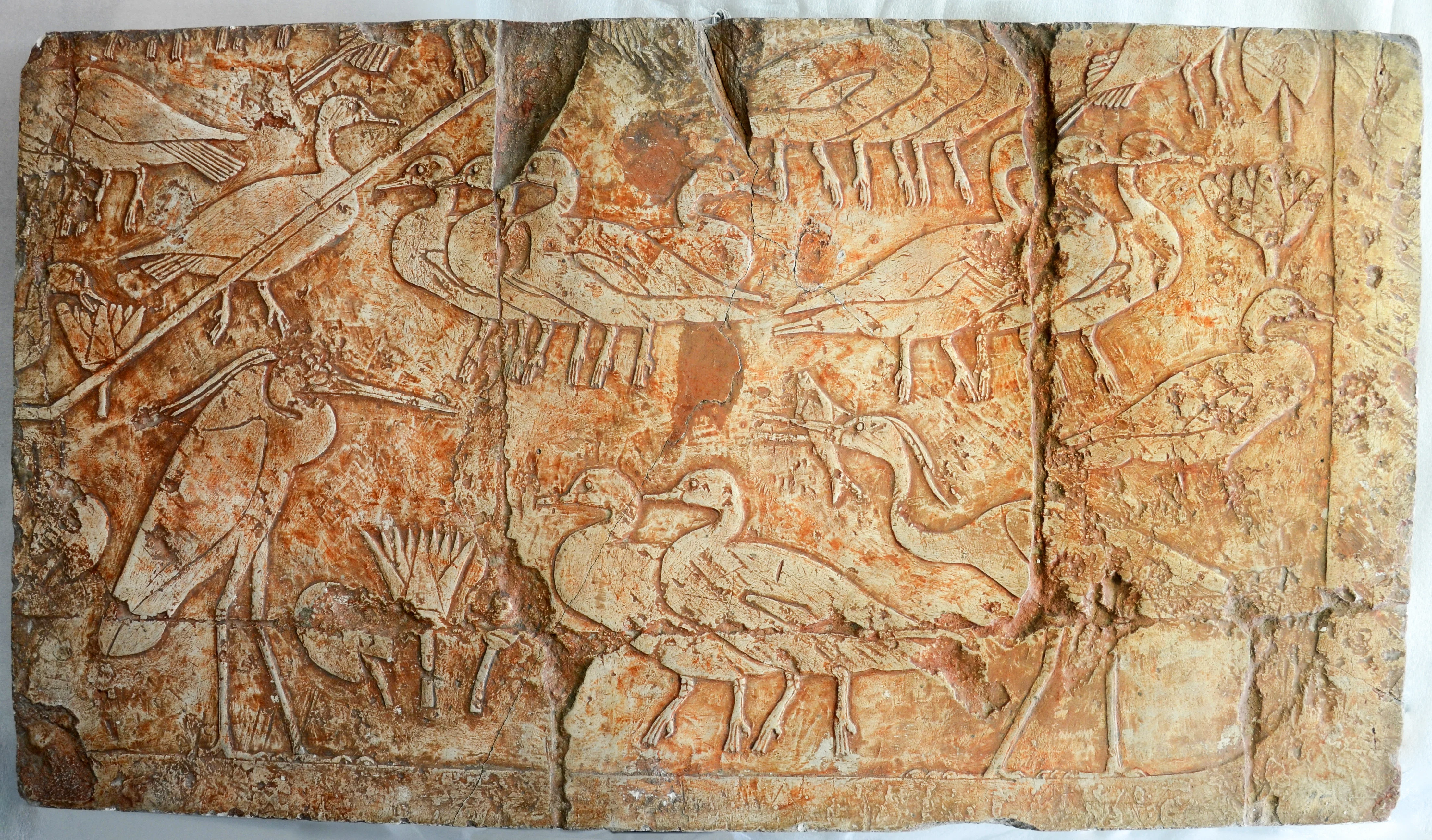 <span class="numbwork">1708</span > <span class="bullwork">•</span > Patos y garzas reales (2) - Image 2