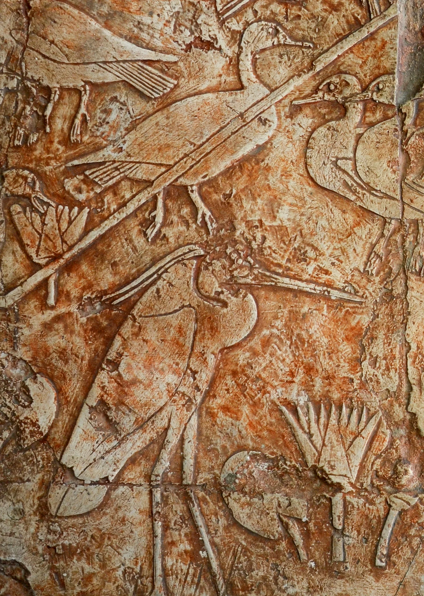 <span class="numbwork">1708</span > <span class="bullwork">•</span > Patos y garzas reales (2)