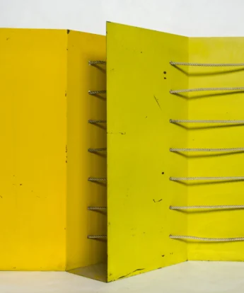 <span class="numbwork">2255</span > <span class="bullwork">•</span > Sin título