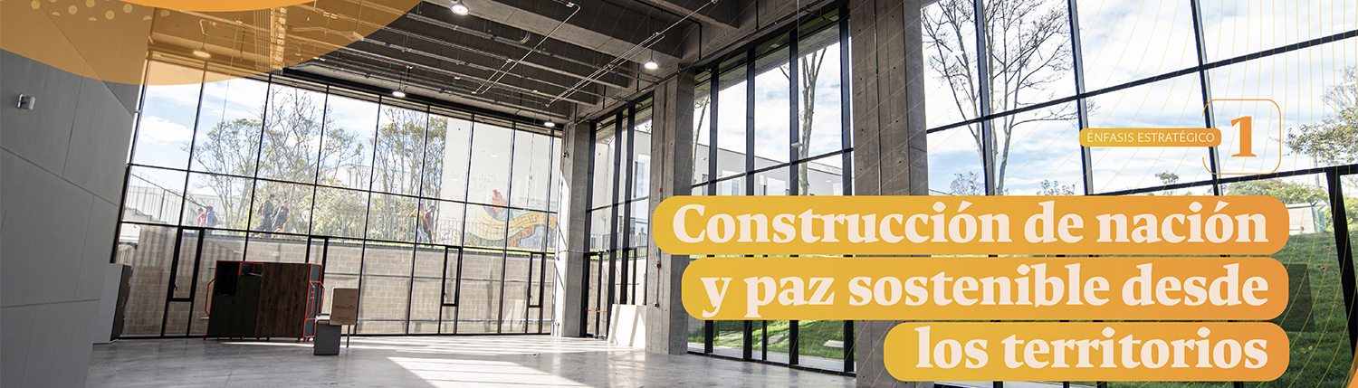 [Informe UNAL Sede Bogotá] Construcción de nación y paz sostenible desde los territorios