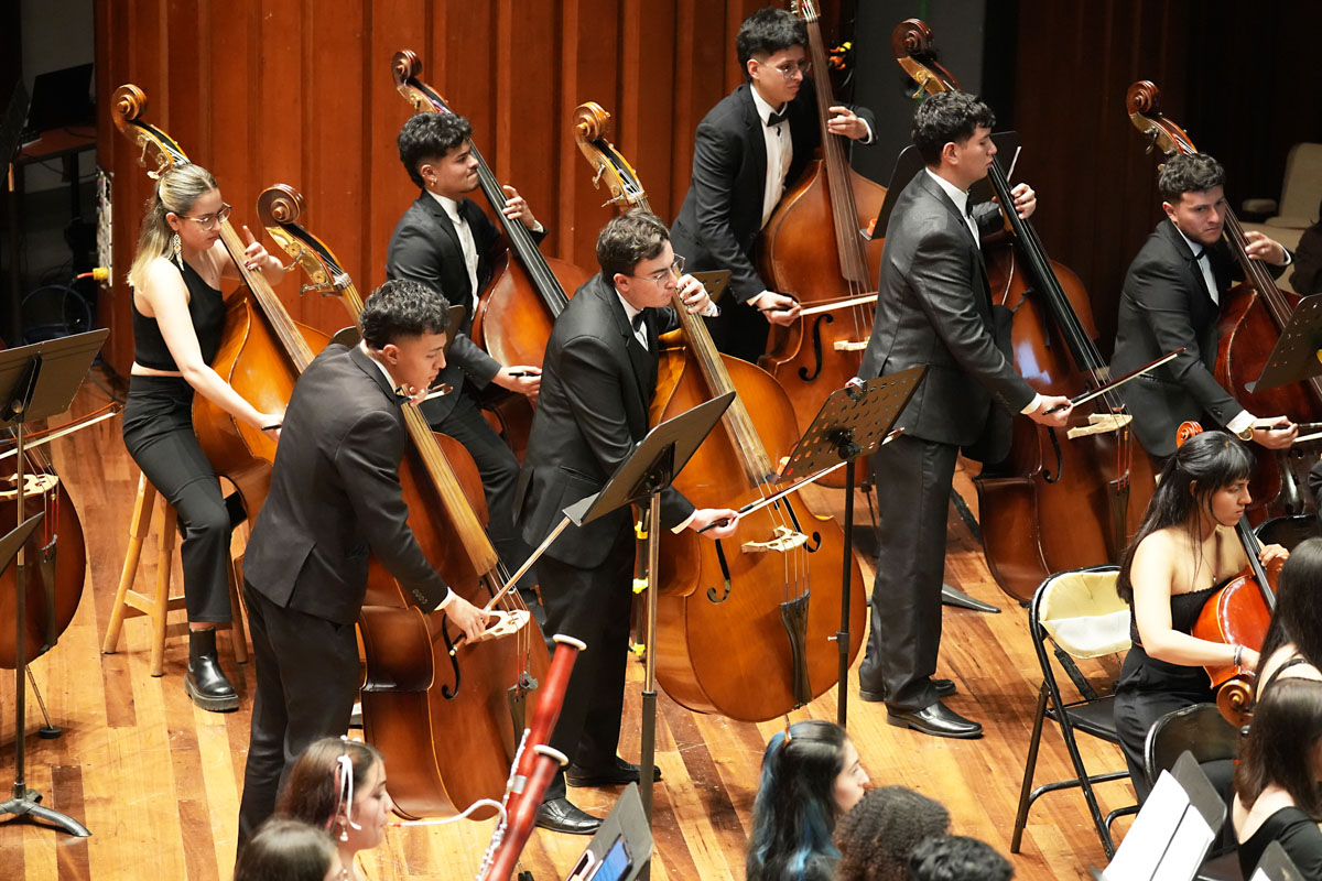 © Dirección de Patrimonio Cultural UNAL / Johnson Montoya