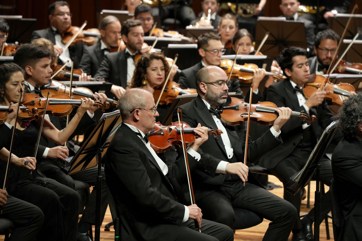 © Dirección de Patrimonio Cultural UNAL / Johnson Montoya