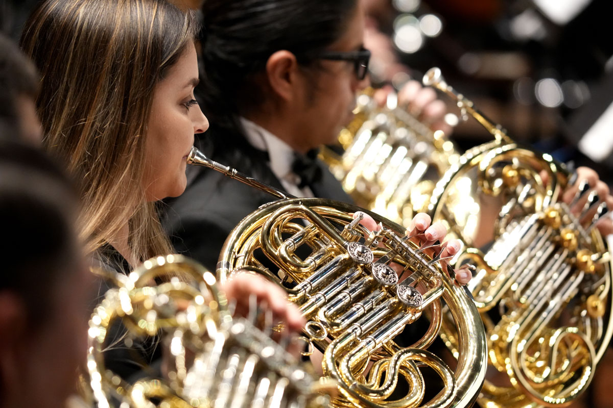 © Dirección de Patrimonio Cultural UNAL / Johnson Montoya