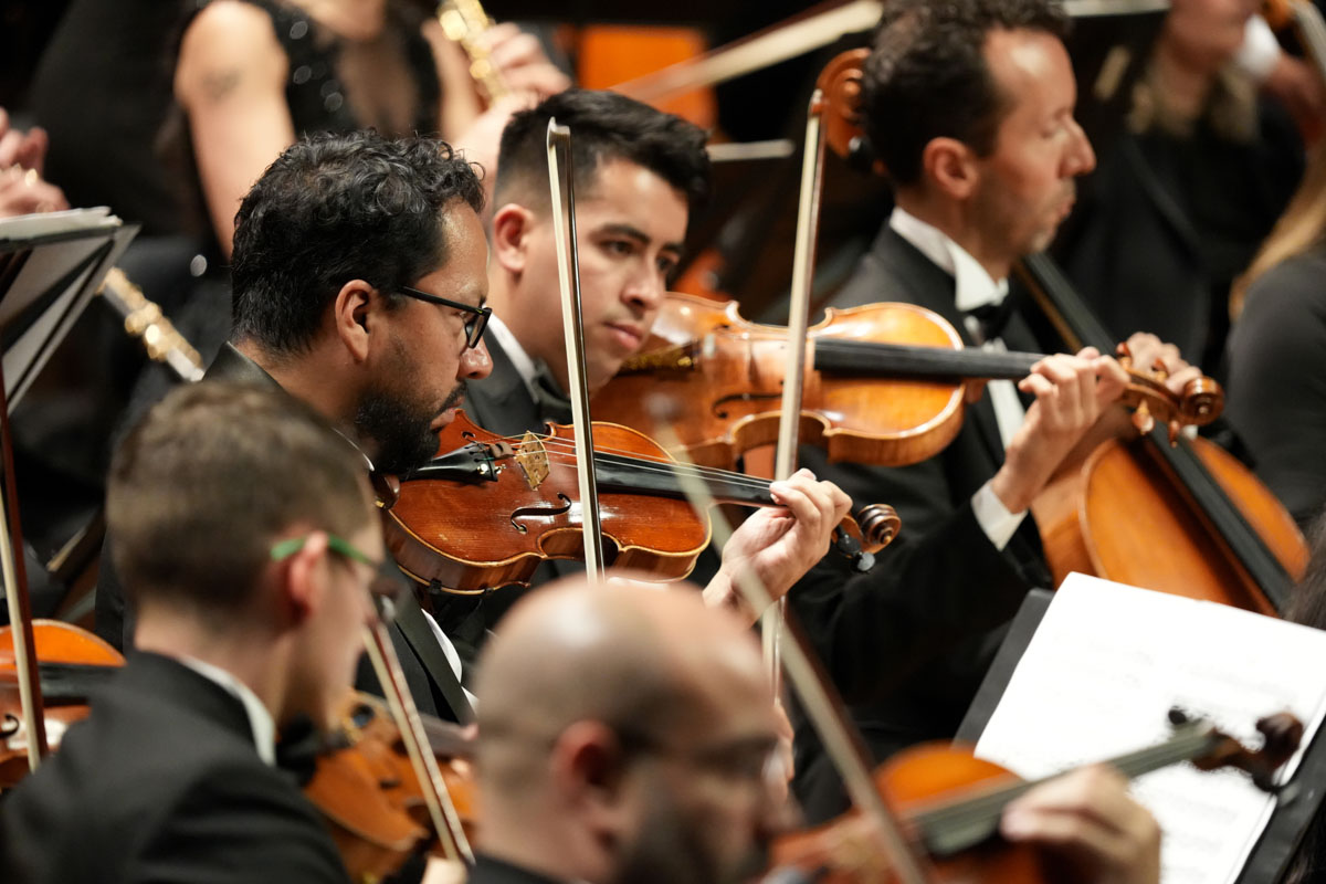 © Dirección de Patrimonio Cultural UNAL / Johnson Montoya